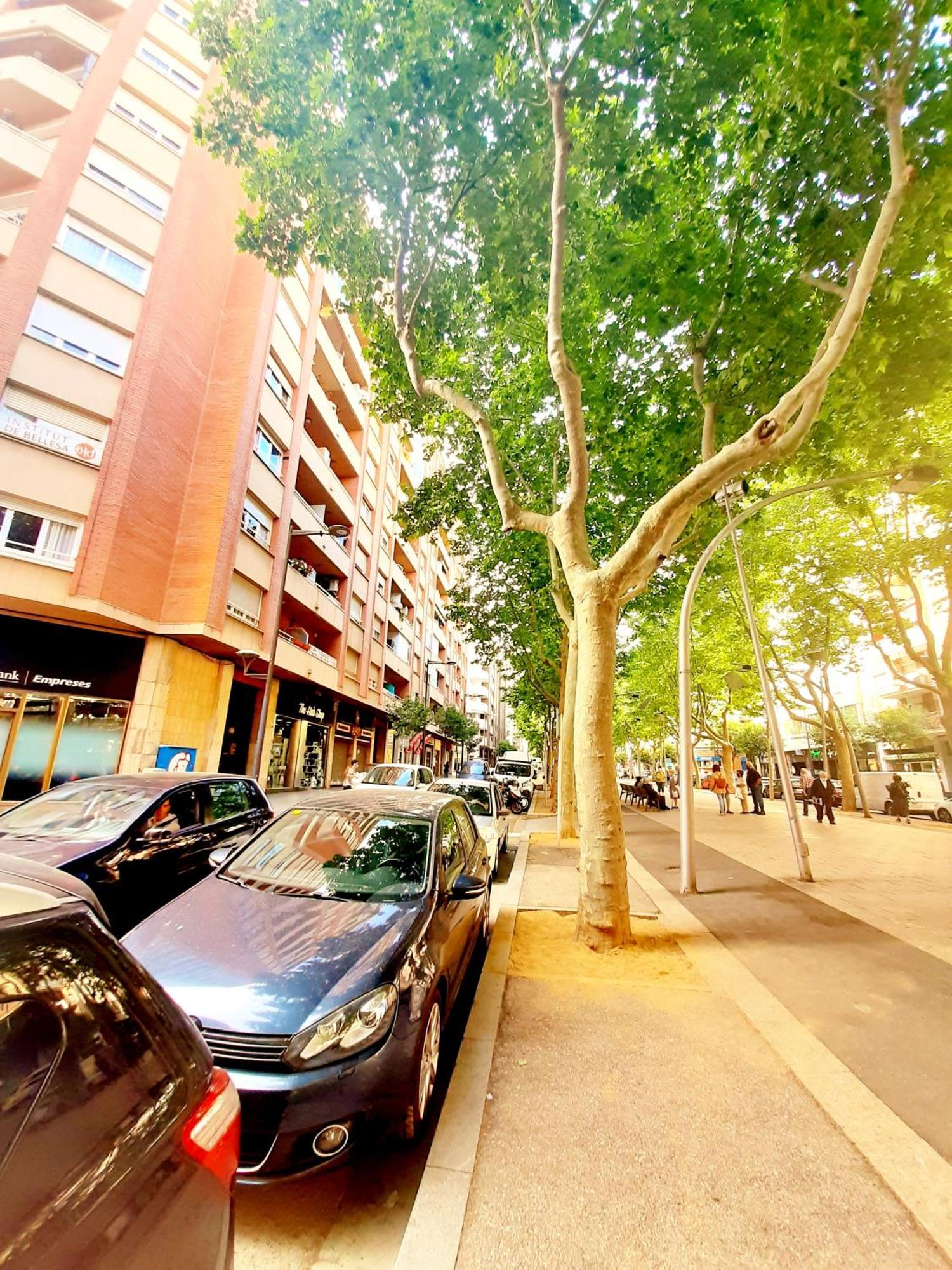 Tarragonaapartments Prim 350 เรวส์ ภายนอก รูปภาพ